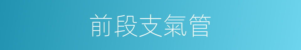 前段支氣管的同義詞