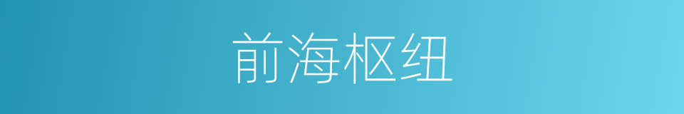 前海枢纽的同义词