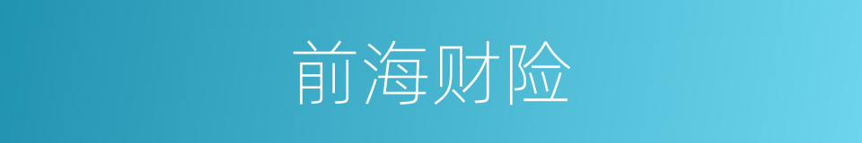 前海财险的同义词