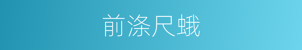 前涤尺蛾的同义词