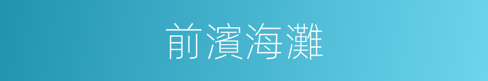 前濱海灘的同義詞