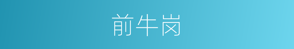 前牛岗的同义词