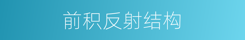 前积反射结构的同义词
