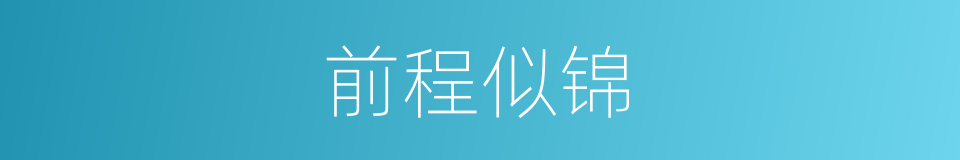 前程似锦的意思