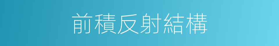 前積反射結構的同義詞