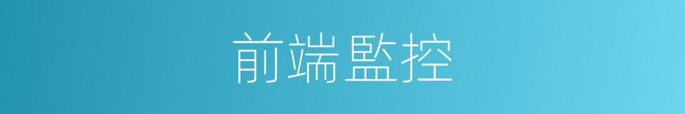 前端監控的同義詞