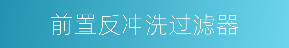 前置反冲洗过滤器的同义词