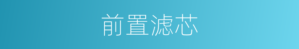 前置滤芯的同义词