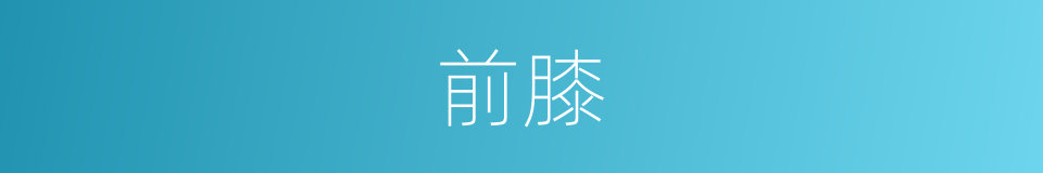 前膝的意思