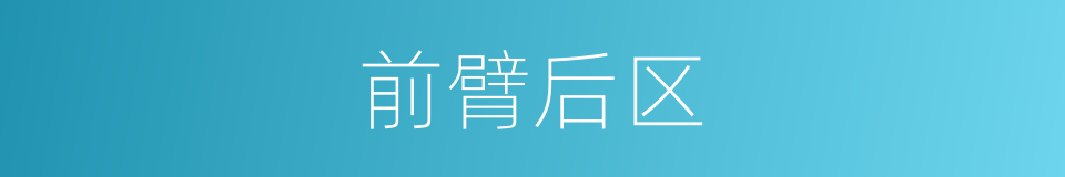 前臂后区的同义词