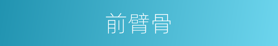 前臂骨的同义词