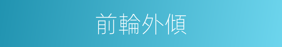 前輪外傾的同義詞