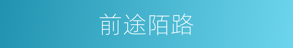 前途陌路的同义词