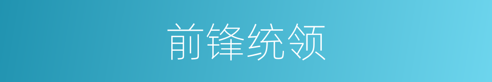 前锋统领的同义词