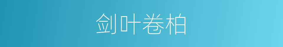 剑叶卷柏的同义词