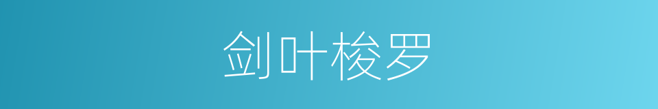 剑叶梭罗的同义词