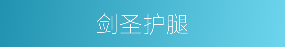 剑圣护腿的同义词