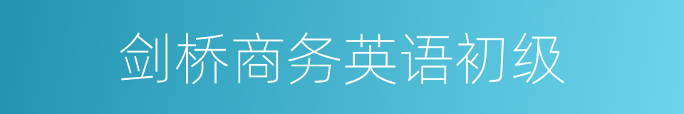 剑桥商务英语初级的同义词