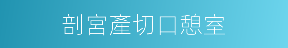 剖宮產切口憩室的同義詞