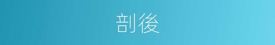 剖後的同義詞
