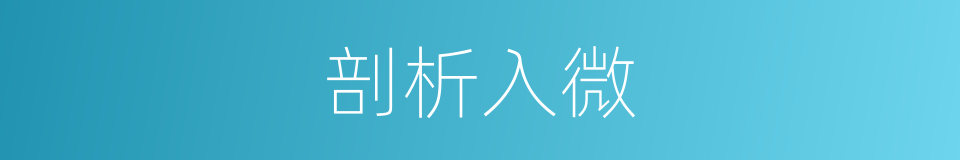 剖析入微的意思