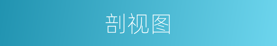 剖视图的意思