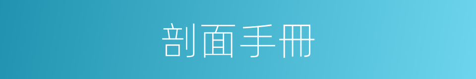 剖面手冊的同義詞