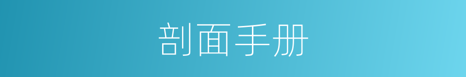 剖面手册的同义词