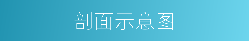 剖面示意图的同义词