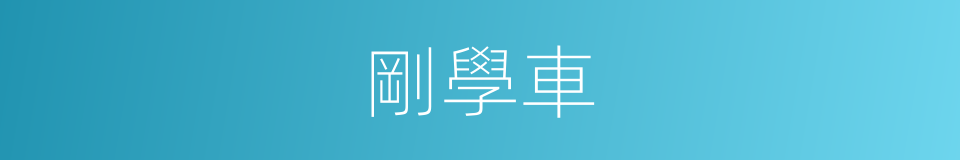 剛學車的同義詞