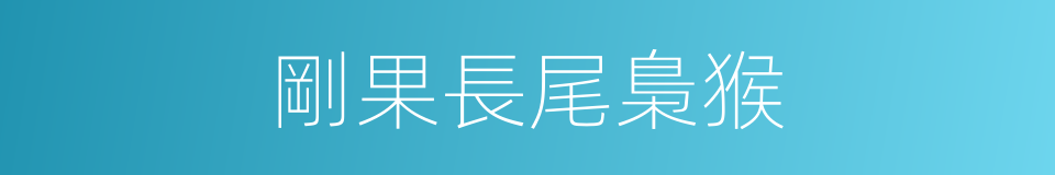 剛果長尾梟猴的同義詞
