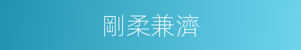 剛柔兼濟的同義詞