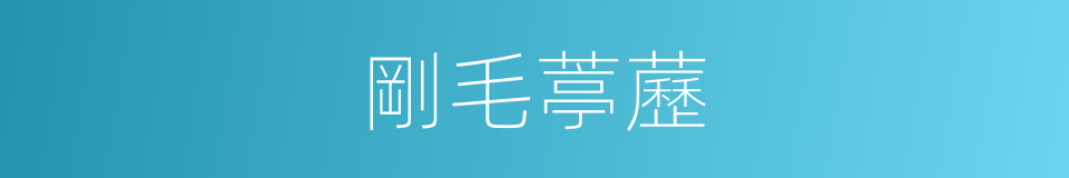 剛毛葶藶的同義詞