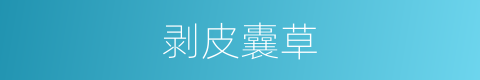 剥皮囊草的意思
