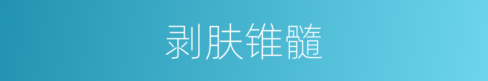 剥肤锥髓的同义词