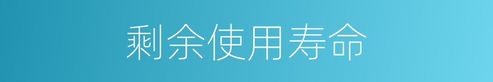 剩余使用寿命的同义词