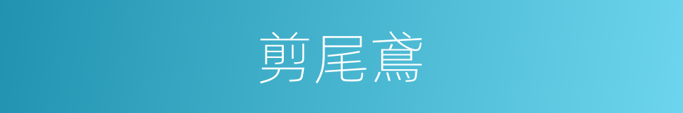 剪尾鳶的同義詞