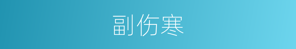副伤寒的意思