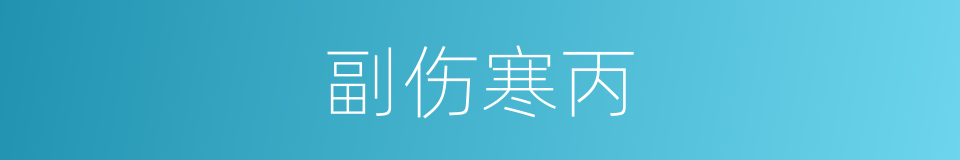 副伤寒丙的同义词