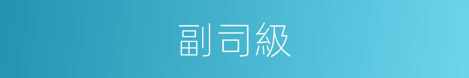 副司級的同義詞