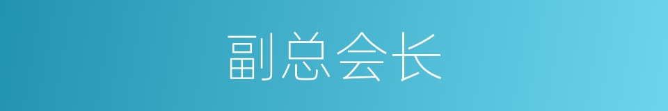 副总会长的同义词