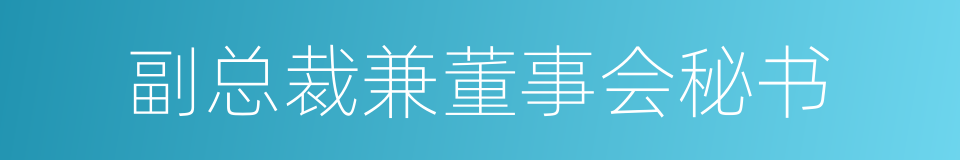 副总裁兼董事会秘书的同义词