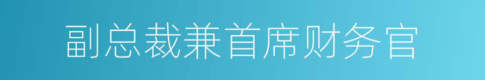 副总裁兼首席财务官的同义词