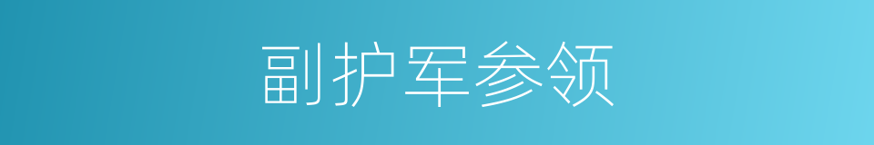 副护军参领的同义词