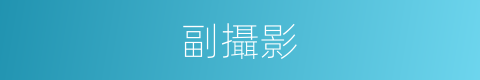 副攝影的同義詞