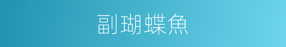 副瑚蝶魚的同義詞