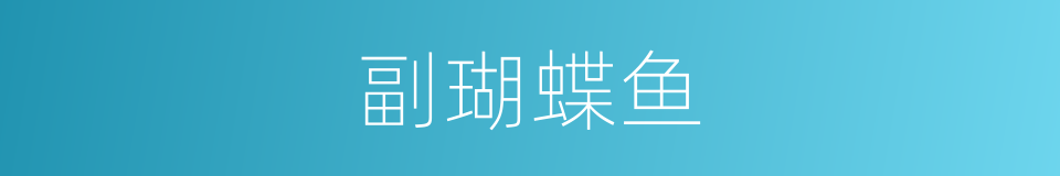 副瑚蝶鱼的同义词