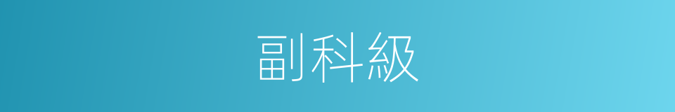 副科級的意思