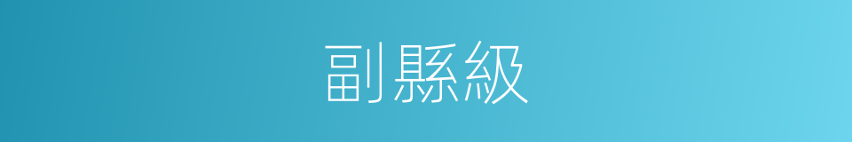 副縣級的意思