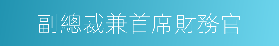 副總裁兼首席財務官的同義詞